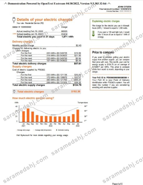 USA New York PSEG utility bill, Word and PDF template, 5 pages 4